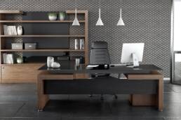 Διευθυντικά γραφεία